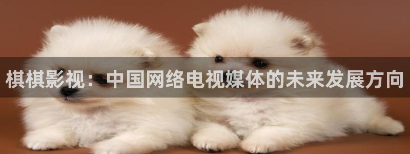 被窝影院伦理