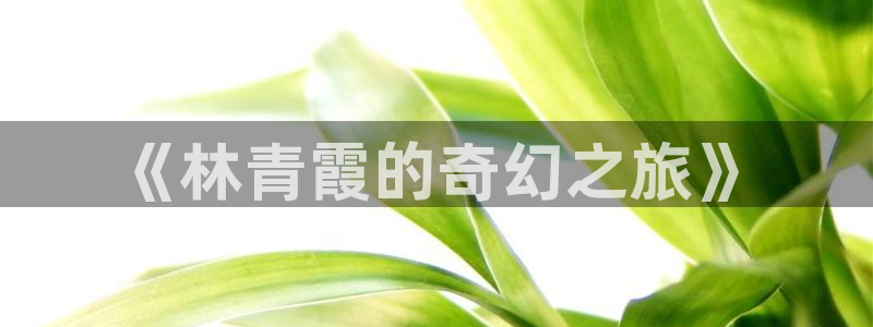 八戒被窝影院