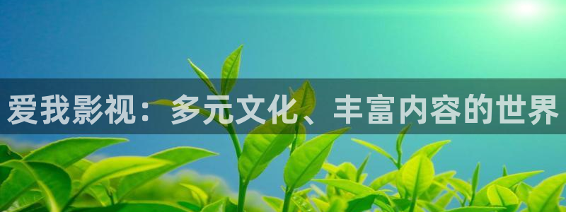 被窝电影网理论