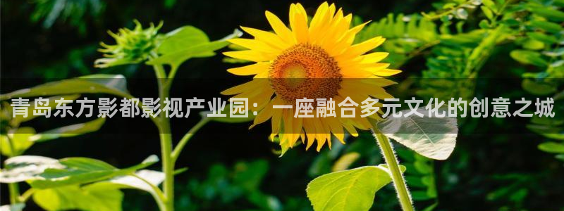 被窝理论电影网