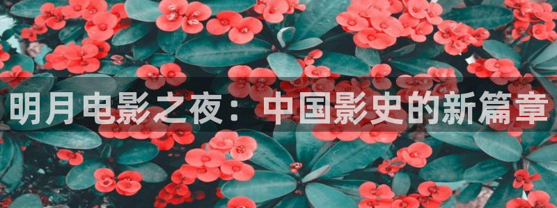 韩国电影被窝