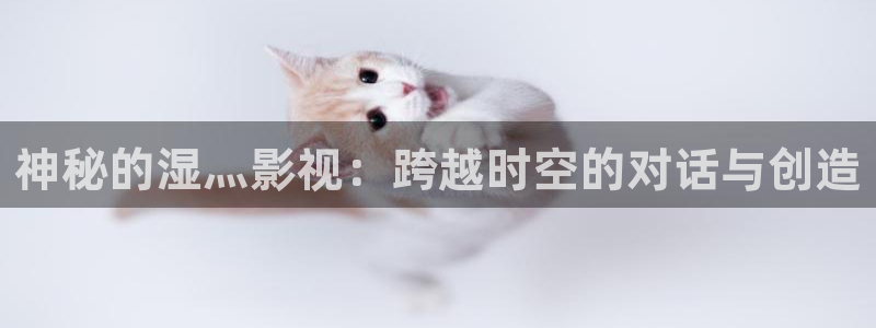 神马影院第九被窝