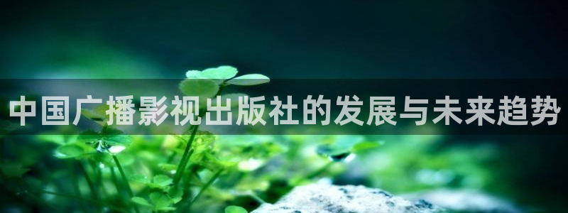 韩国电影被窝