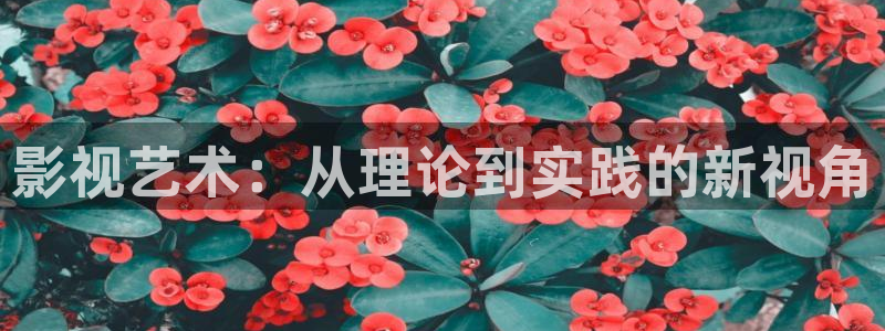 神马电影被窝影院第九电影网